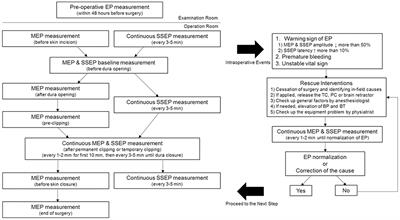 Usefulness of Intraoperative Neurophysiological Monitoring During the Clipping of Unruptured Intracranial Aneurysm: Diagnostic Efficacy and Detailed Protocol